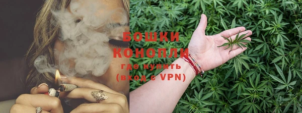 сатива Абаза