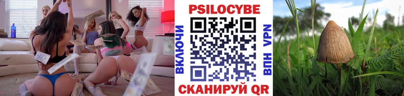 Псилоцибиновые грибы Psilocybine cubensis  закладки  mega ссылки  Красавино 